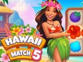 Gêm Gêm Hawaii 5  ar-lein