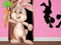 Gêm Dewch o hyd i'r Bunny Hopkin  ar-lein