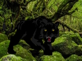 Gêm Dianc o Goedwig Panther Ddu  ar-lein