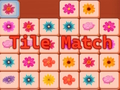 Gêm Match Teils  ar-lein