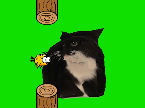 Gêm Aderyn flappy yn troelli cath oia oia  ar-lein