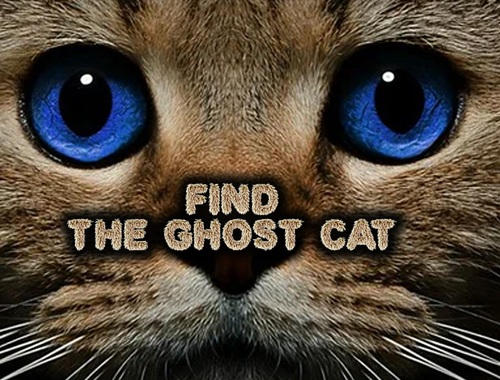 Gêm Dewch o Hyd i'r Ghost Cat  ar-lein