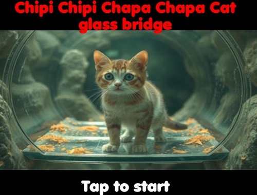 Gêm Chipi Chipi Chapa Chapa Cat Glass Bridge ar-lein