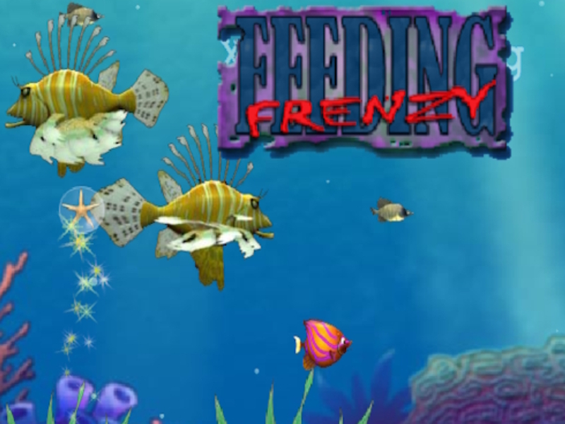 Gêm Bwydo frenzy ar-lein