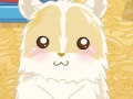 Gêm Cariad Hamster  ar-lein