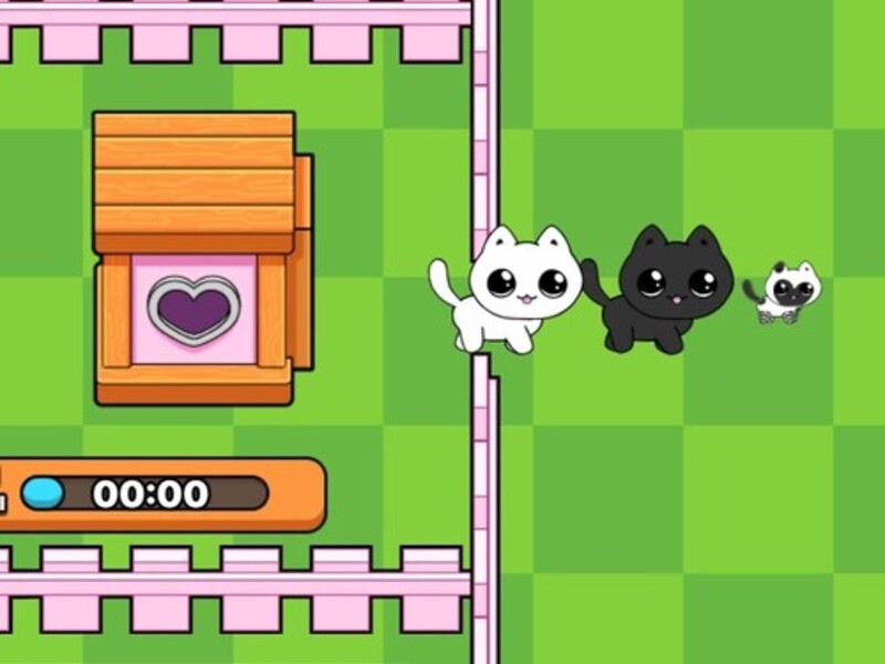 Gêm Fy kitties. Catworld ar-lein